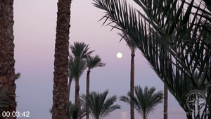 [Image: ME14KMCS_t.jpg]