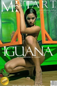 Permanent Link to 2005-07-26 – Ria A – Iguana x159