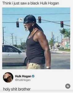 6z8c6PAv.jpg