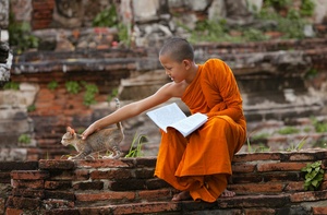 Буддистский мир на фото