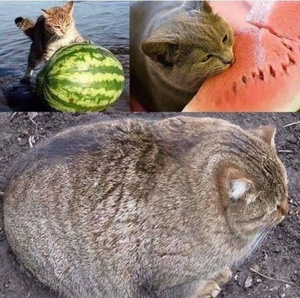 yt2WW5YG.jpg